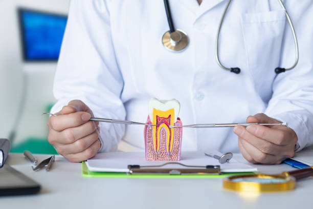 Best Emergency Dental Services for Seniors in Howard City, MI